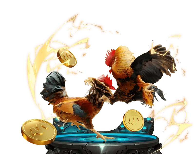 Quản lý vốn hiệu quả